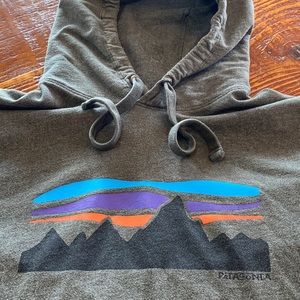 Patagonia Mountain 🏔 Hoodie Sweatshirt